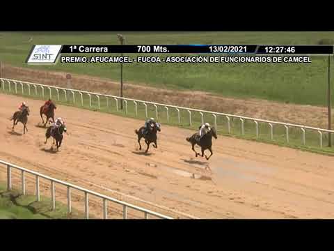 210213 c01 1° ZI CARMELEANO-SINT- MELO