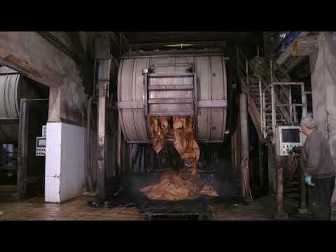 Proceso de curtido del cuero natural (descargando bombos de cuero)