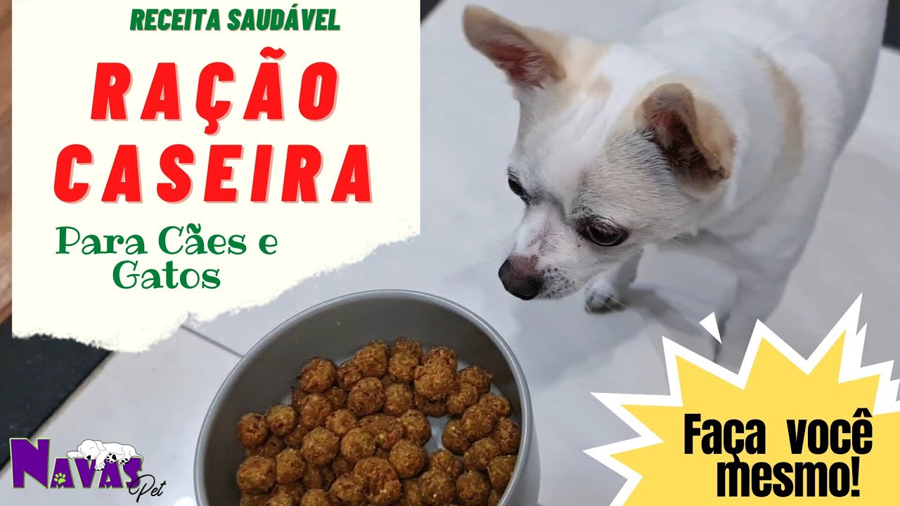 Receita: Ração Caseira para Cães e Gatos 🐶🐱🍴