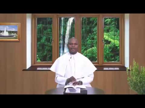 THE DAILY FOUNTAIN OF JULY 31ST 2017