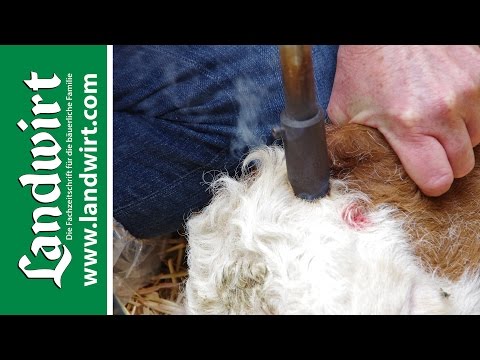 Rheuma Kiefergelenke Bubnovsky Verbesserung Hüfte
