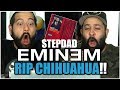RIP TO THE CHIHUAHUA Music Reaction Eminem Stepdad