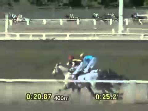 2010 GP Hipodromo de Palermo (G1) MAD SPEED