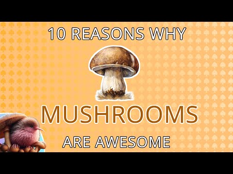 10 Reasons Why Mushrooms Are Awesome