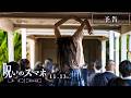 映画『呪いのスマホ』予告／𝟣𝟣.𝟣𝟥 (金)公開