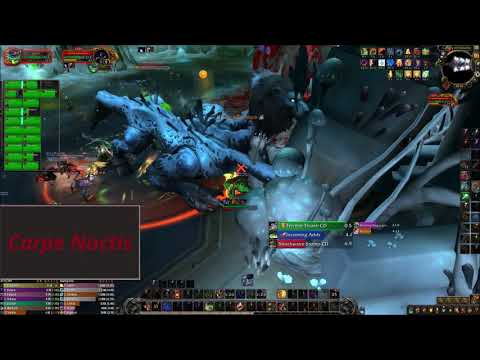 Fetid Devourer Heroic - Carpe Noctis - Tank PoV