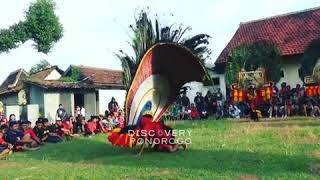 Download lagu Story wa keren terbaru.( reog Ponorogo) mp3