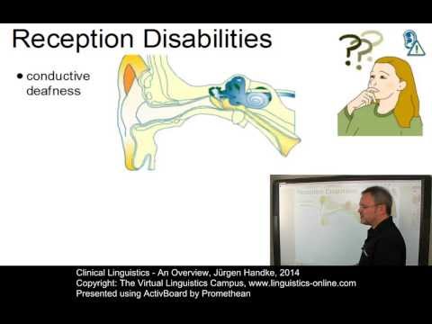APL111 - Clinical Linguistics - An Overview