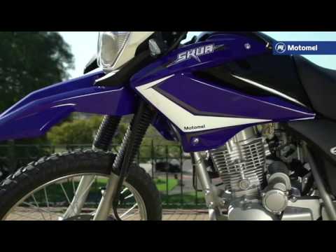 Deceleste - Motomel Skua