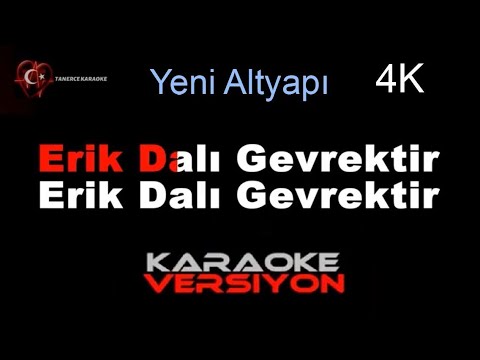 ERİK DALI Gevrektir KARAOKE