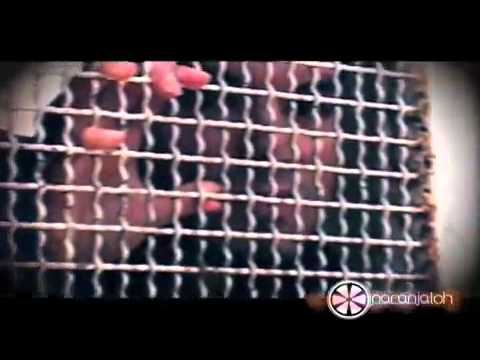 ‪CRUZA LA RAYA   ESNOU‬‏