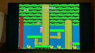 Adventure island part 2 nes gameplay #polymega #nes #nintendoentertainmentsystem