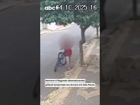 Homem é flagrado abandonando pitbull amarrado em árvore em São Paulo