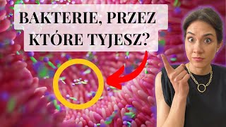 Wideo
