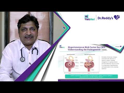 Hypertension And Chronic Kidney Diseases