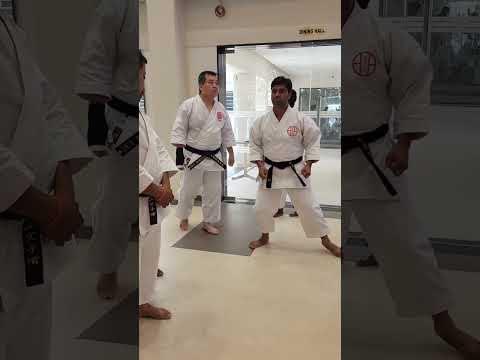 WSKF 🥋 KARATE SEMINAR AISKU