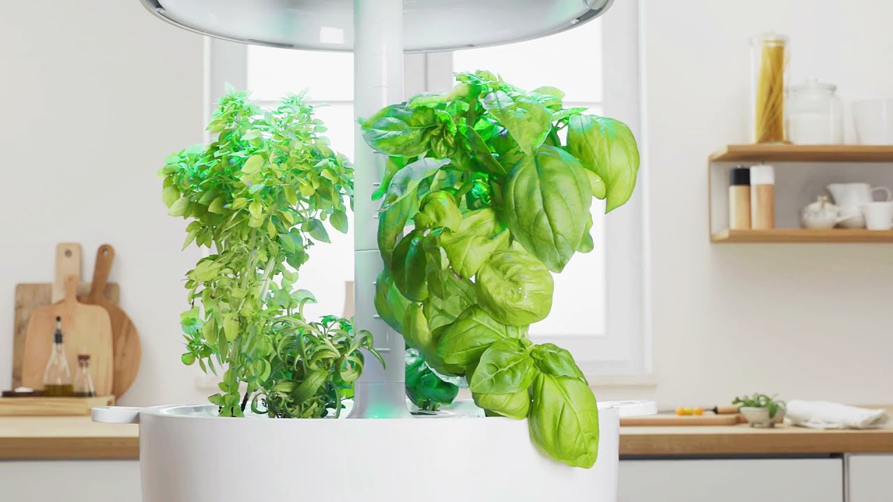 Plus facile que le système de culture hydroponique | Kit de jardin d’herbes  aromatiques d’intérieur avec Grow Light | Smart Garden pour le rebord de