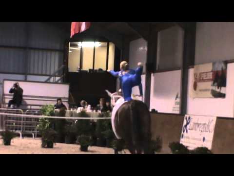 TEAM SVEA Sweden Compulsories CVI*** Geel 2013