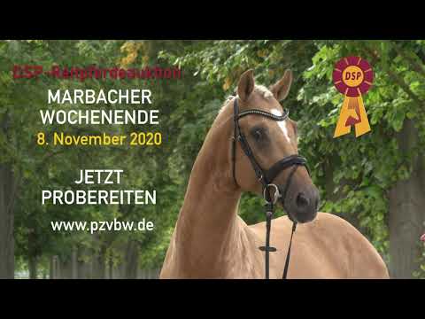 Trailer Marbacher Wochenende 2020 - deutsch
