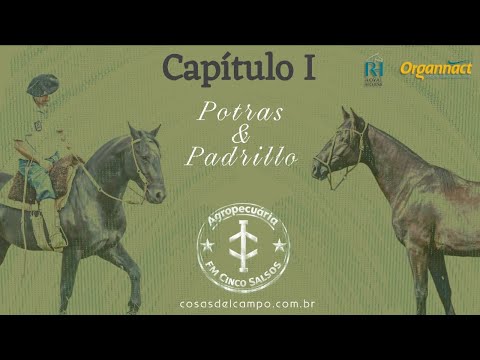 🥇Capítulo I - FM Catarina do Cinco Salsos  - Aceguá RS