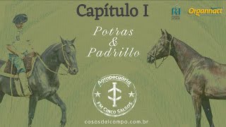 FM Cinco Salso - Venda Direta 