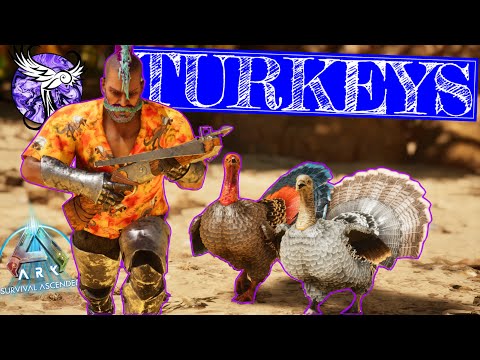 Hunting MURDER TURKEYS For Their B O N E S | Story Ascended - EP11 | ARK Survival Ascended