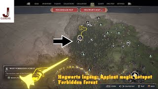 Hogwarts legacy Ancient magic hotspot Forbidden forest West forbidden forest Frog statues