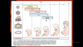 Download Lagu Lecture of Umme Habiba for Nursing on Topic Genetics-II Thumbnail