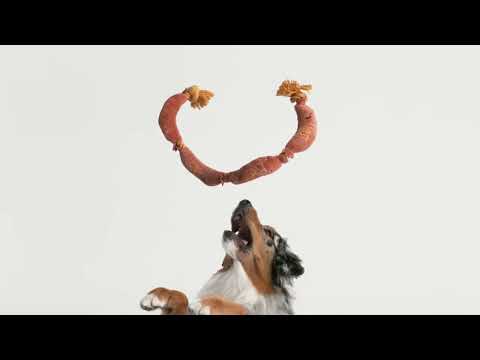 Kmart Low Prices For Life - Dog Toys