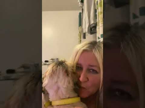 Bbw With Dog
