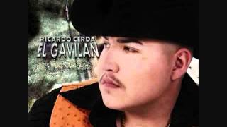 CATCH YOU ON THE REBOUND el gavilan