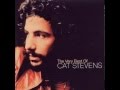 Cat Stevens - Can't Keep It In