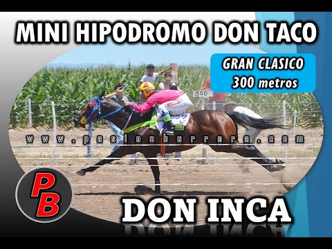 DON INCA: MINI HIPODROMO DON TACO - LOS CERRILLOS (11-12-2022)