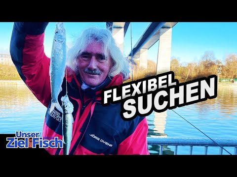 HERING SATT am NOK - POSE oder BLINKER: WELCHE METHODE FÄNGT? Unser Ziel ist Fisch - Angelschule