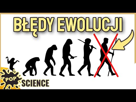 Ewolucja zepsuła ciało człowieka - POP Science #67