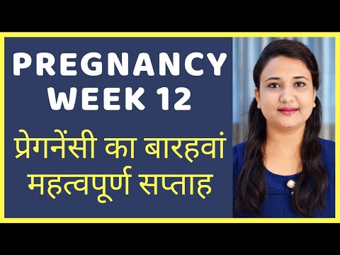 प्रेगनेंसी का बारहवां महत्वपूर्ण सप्ताह | PREGNANCY WEEK 12