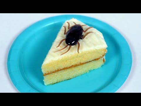 download lagu mp3 mp4 Bug Cake, download lagu Bug Cake gratis, unduh video klip Bug Cake