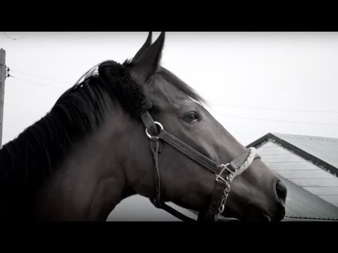 Uniquely Canadian: Caren