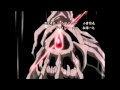 【Shisuka】   XTC - Witchblade OP「Psychic Lover」 