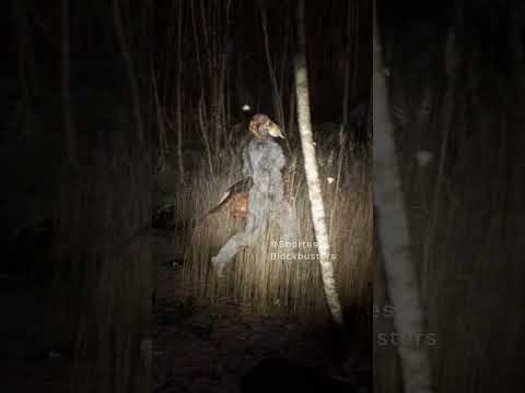 Los Monstruos Cabra sacaron a pasear a los perros  #terrorymisterio #paranormal