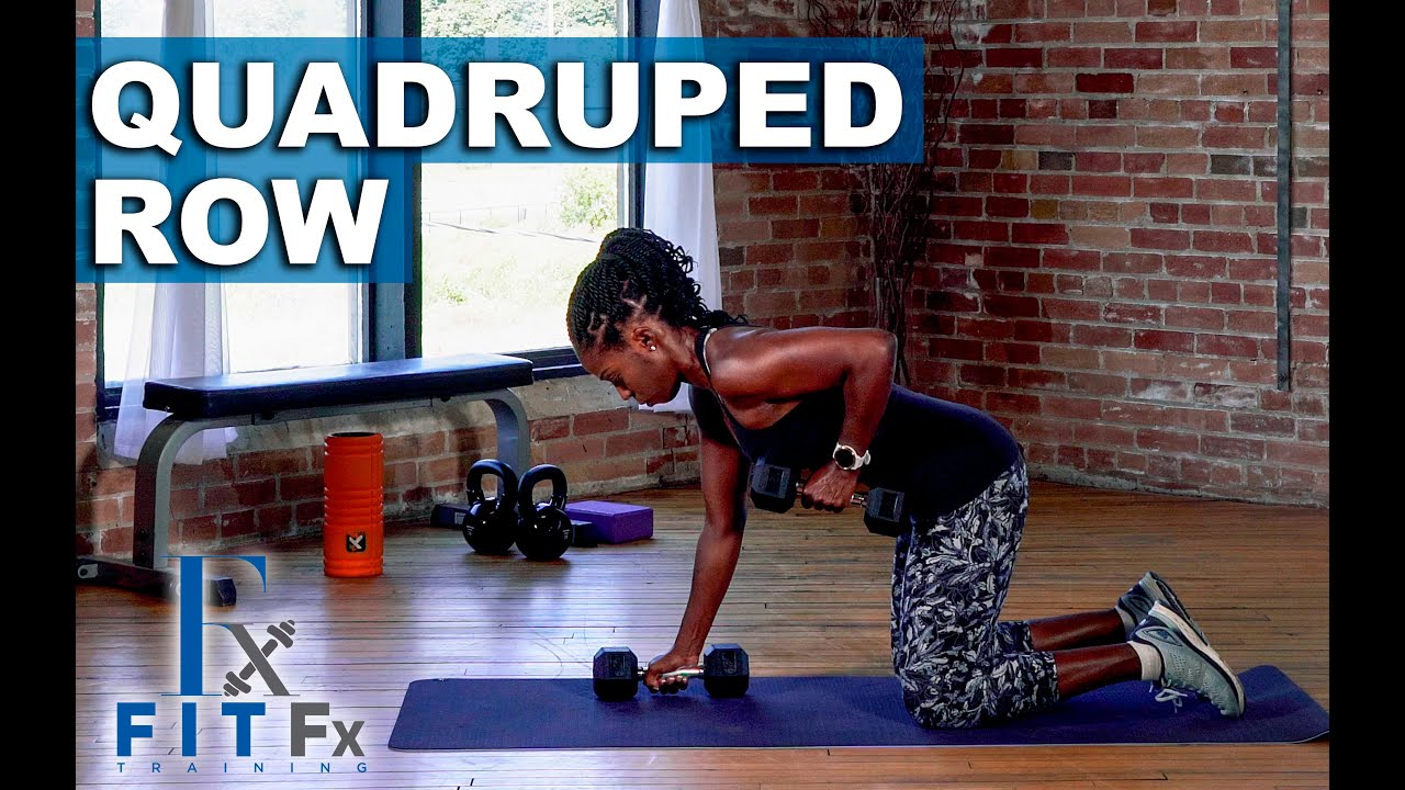 Quadruped Row Tutorial | Strengthen Your Back, Obliques, & Arms! Great Variation For Beginners - YouTube