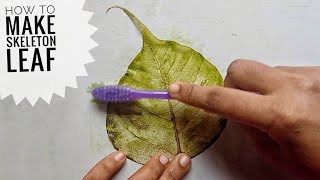 Skeleton leaf making using detergent - detailed making vedio - diy skeleton leaf - leaf art