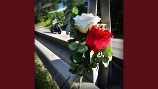 Trygt frem (Nullvisjonslåta)