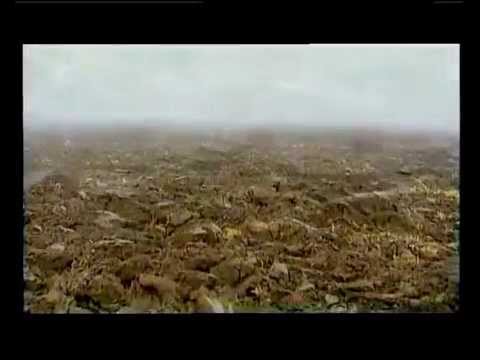 Kathedralen der Steinzeit - Himmelscheibe von Nebra