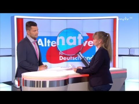 Wie radikal ist die AfD?