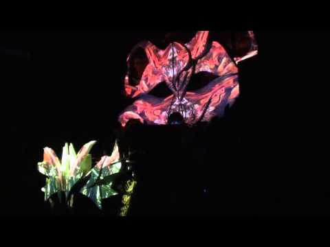 ☯ ALREADY MAGED LIVE 4/4 ☯ AMORA ☯ Protokultura,Gdańsk ☯ 14.02.2016 ☯