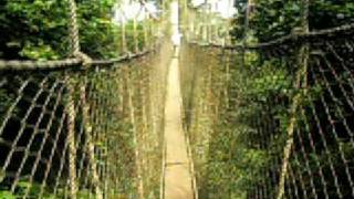 preview picture of video 'Canopy Walkway at Kakum National Park'