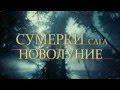 Большое кино - Сумерки.Сага.Новолуние! 