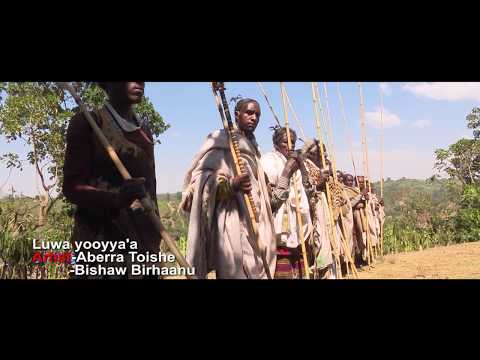 Aberra Toishe - Luwa Yooyya'a -New Ethiopian Music 2017 (Official Video)