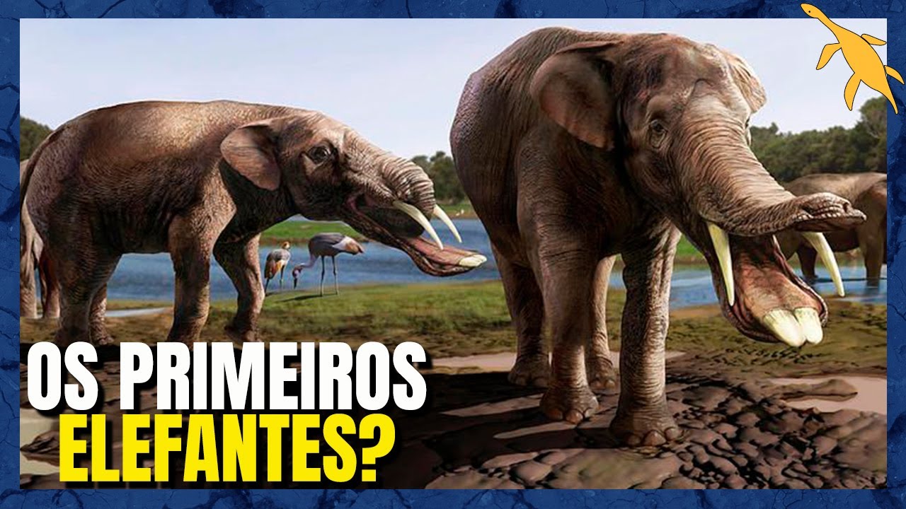 ORIGEM e EVOLUÇÃO dos ELEFANTES (PROBOSCIDEA)